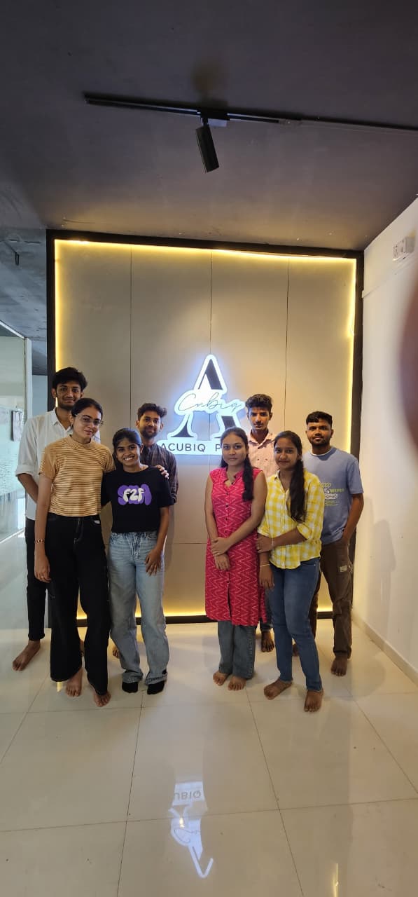 ACUBIQ Internship - Web Development
